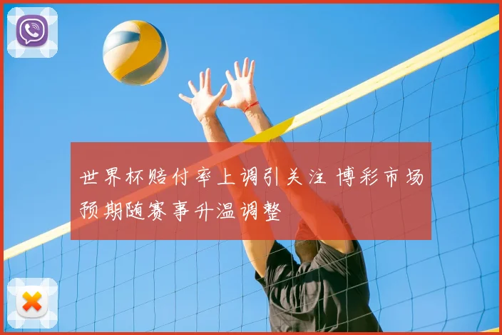世界杯赔付率上调引关注 博彩市场预期随赛事升温调整