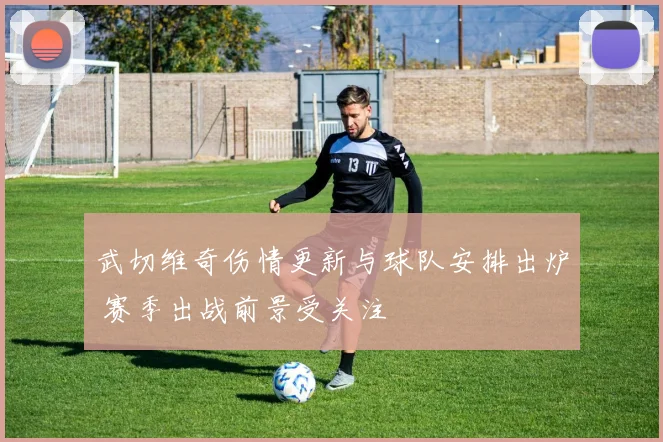 武切维奇伤情更新与球队安排出炉 赛季出战前景受关注