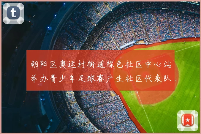 朝阳区奥运村街道绿色社区中心站举办青少年足球赛产生社区代表队