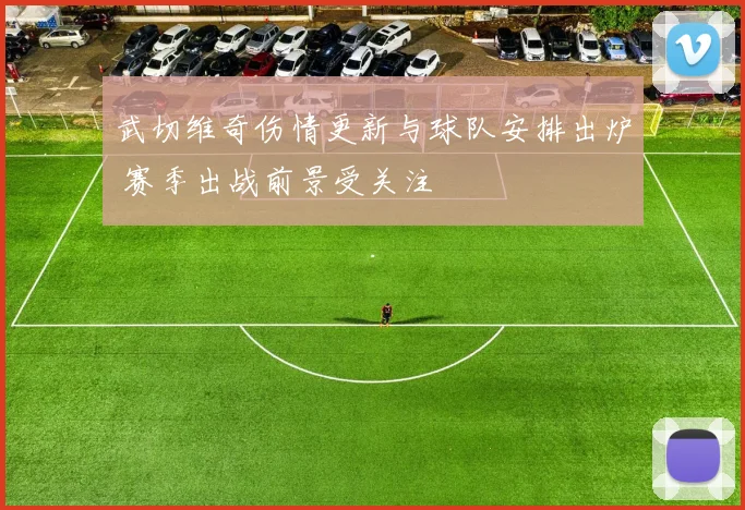 武切维奇伤情更新与球队安排出炉 赛季出战前景受关注