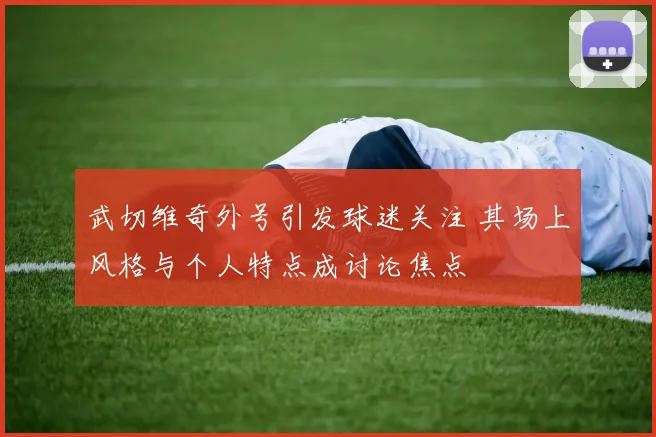 武切维奇外号引发球迷关注 其场上风格与个人特点成讨论焦点