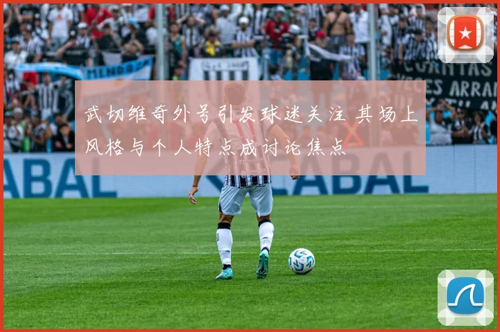 武切维奇外号引发球迷关注 其场上风格与个人特点成讨论焦点